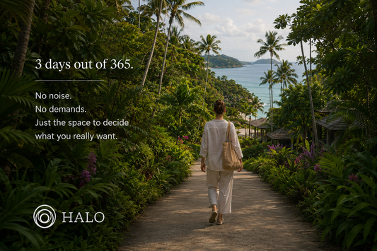 HALO x Flow Fest Annual Retreat 2026 (30 Oct – 1 Nov) - Phuket